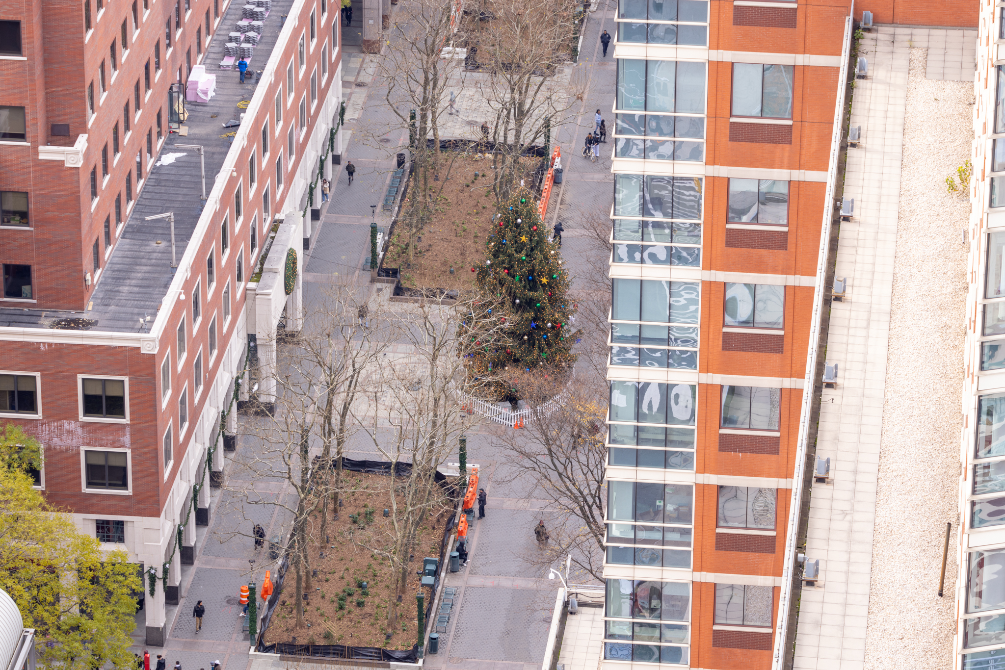 A Christmas tree at Brooklyn Commons photographed at 150mm